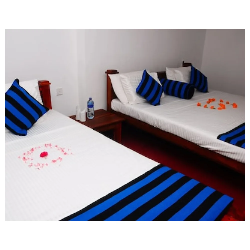 Sun Ceylon Homestay
