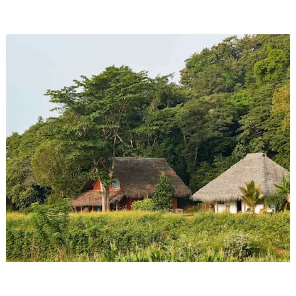 Amuna Ayurvedic Retreat