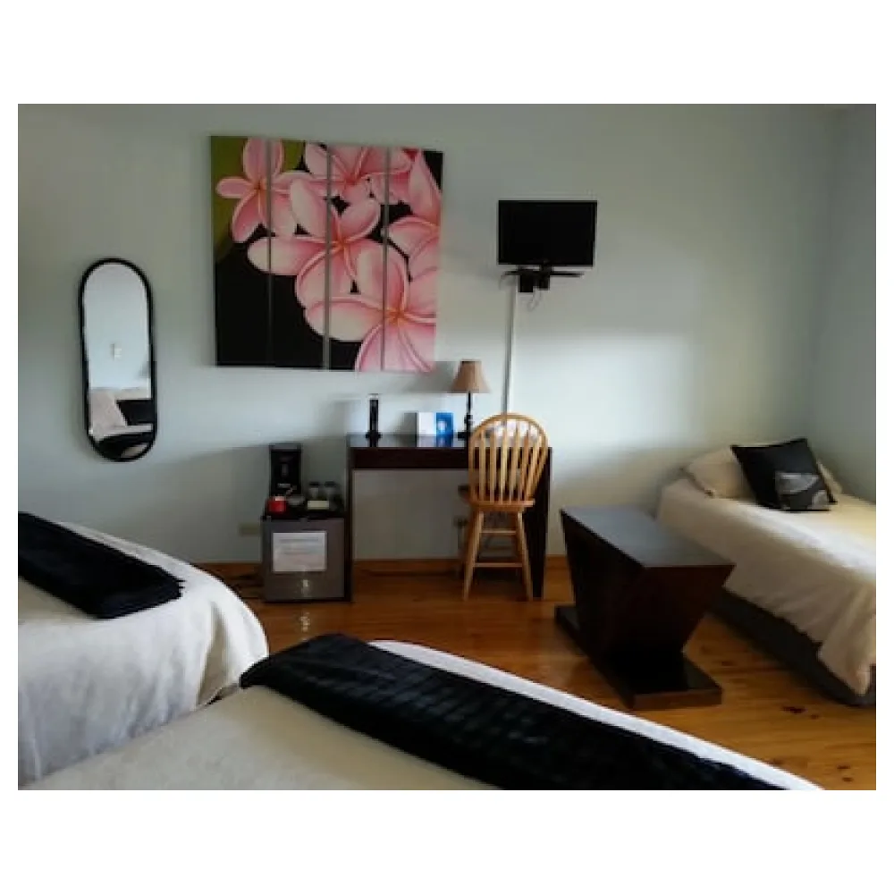 Out of Bounds Boutique Hotel