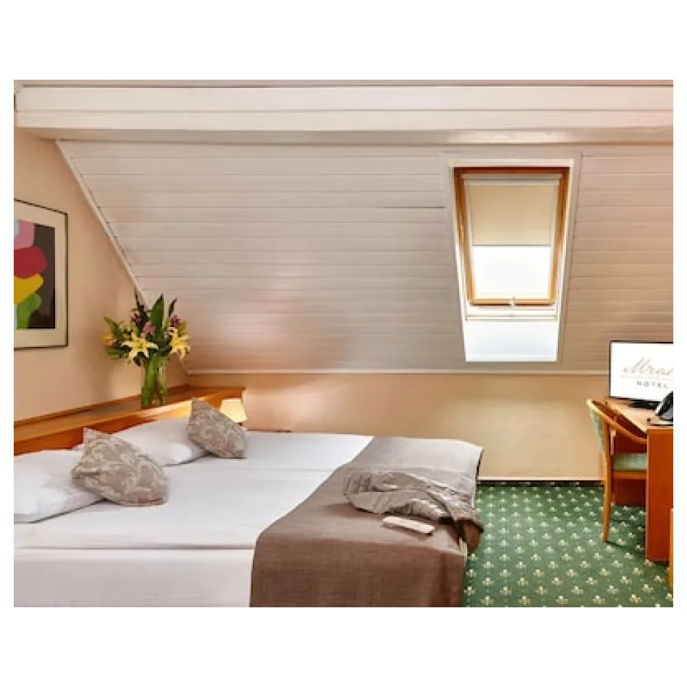 Hotel Mrak