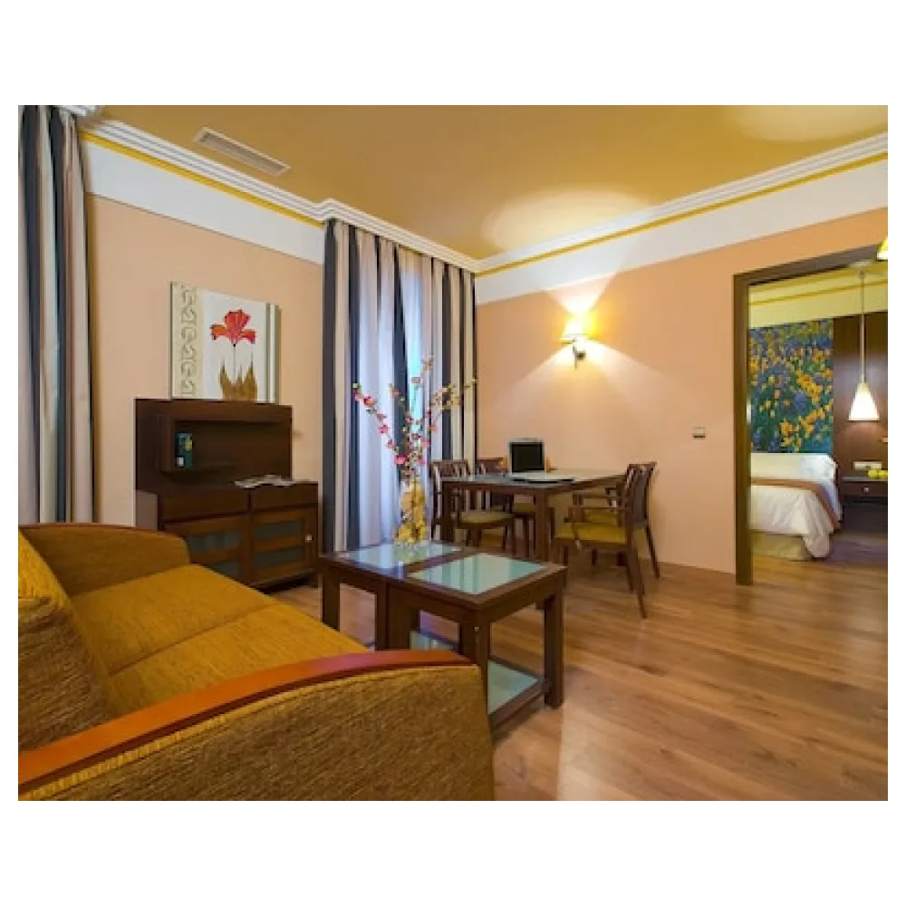 Suites Gran Via 44