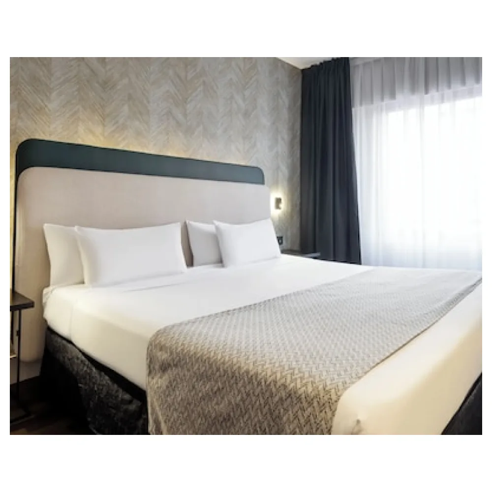 Ilunion Suites Madrid
