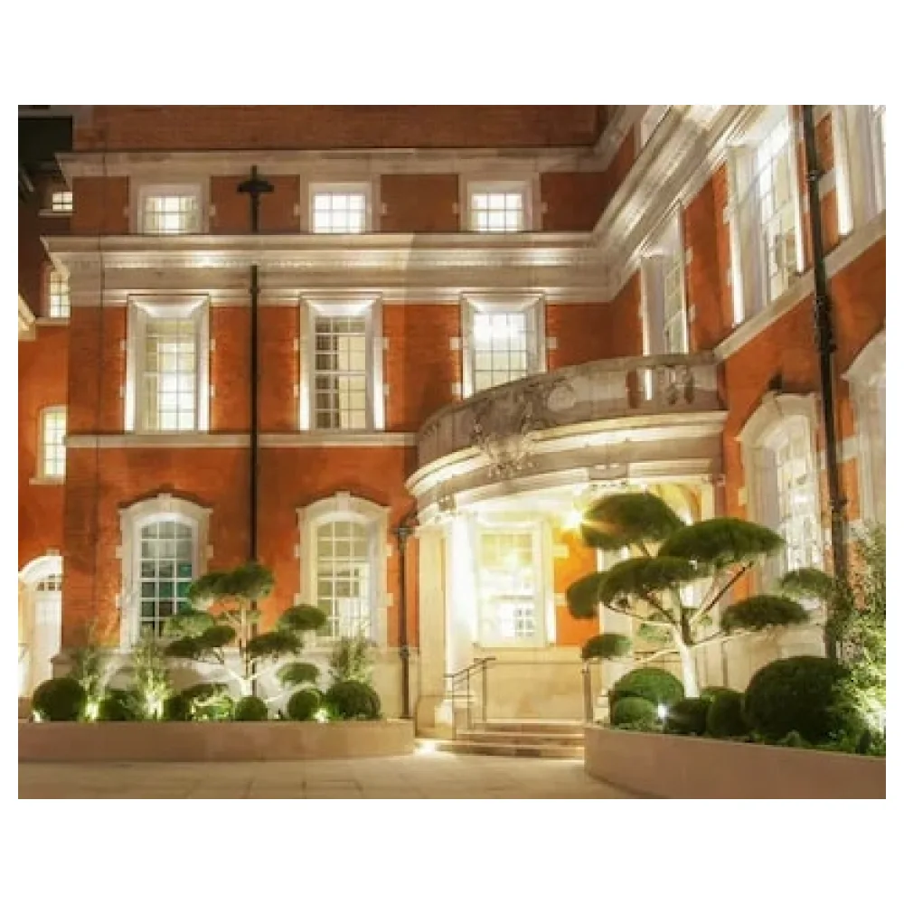 The Lalit London
