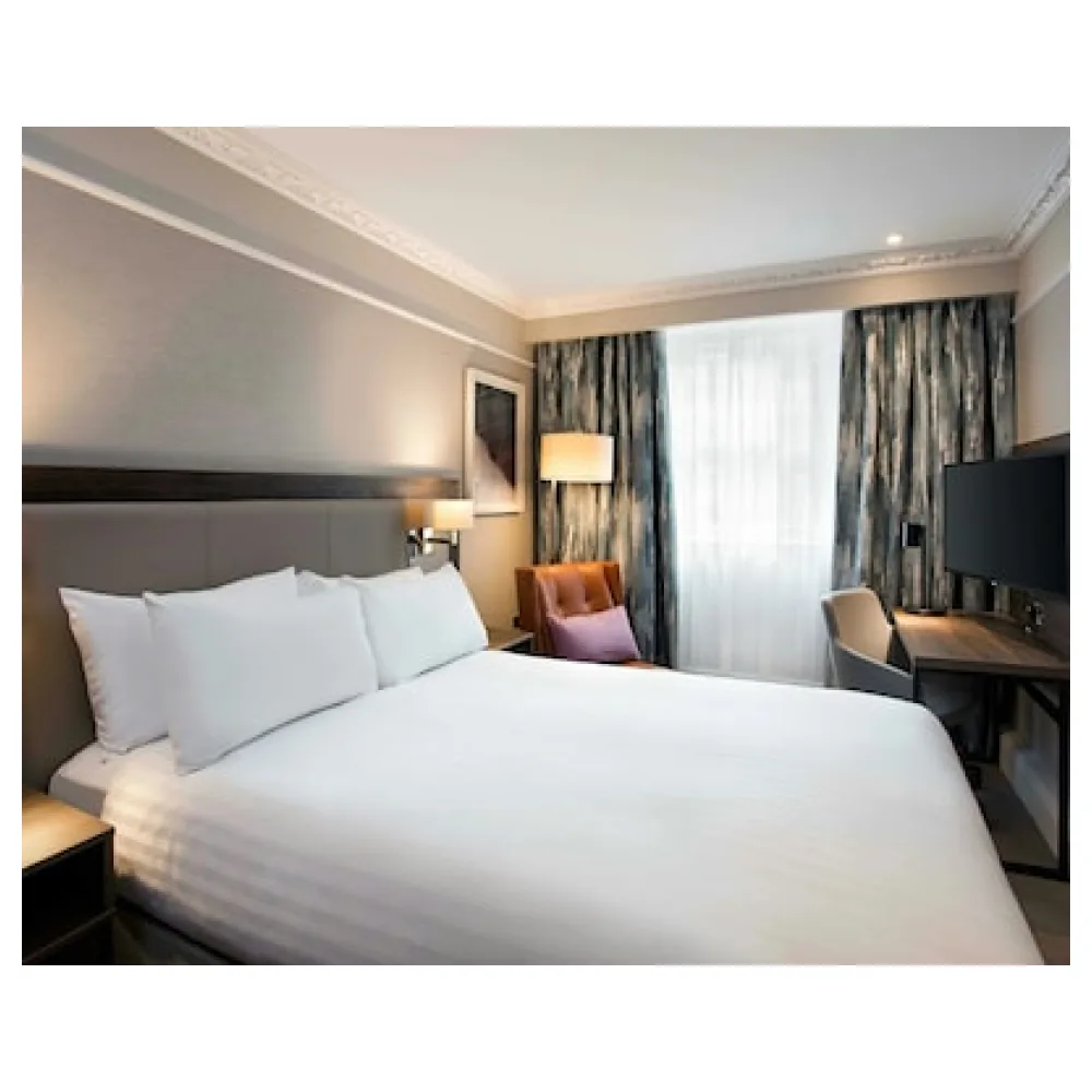 Hilton Edinburgh Carlton
