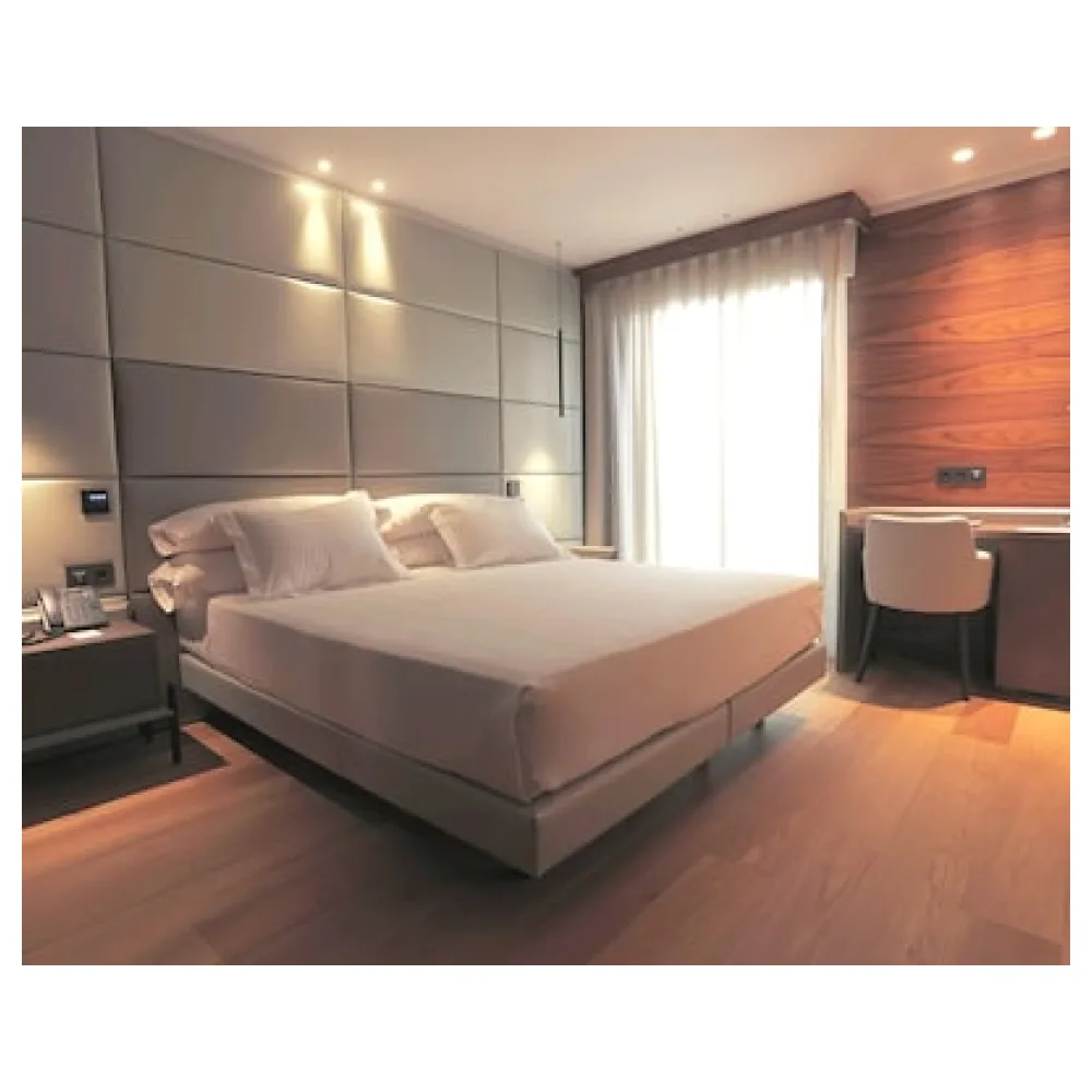 Hotel MyPalace León