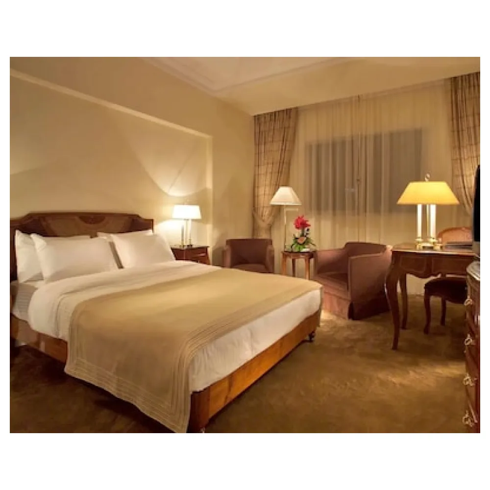 Sonesta Hotel Tower & Casino Cairo