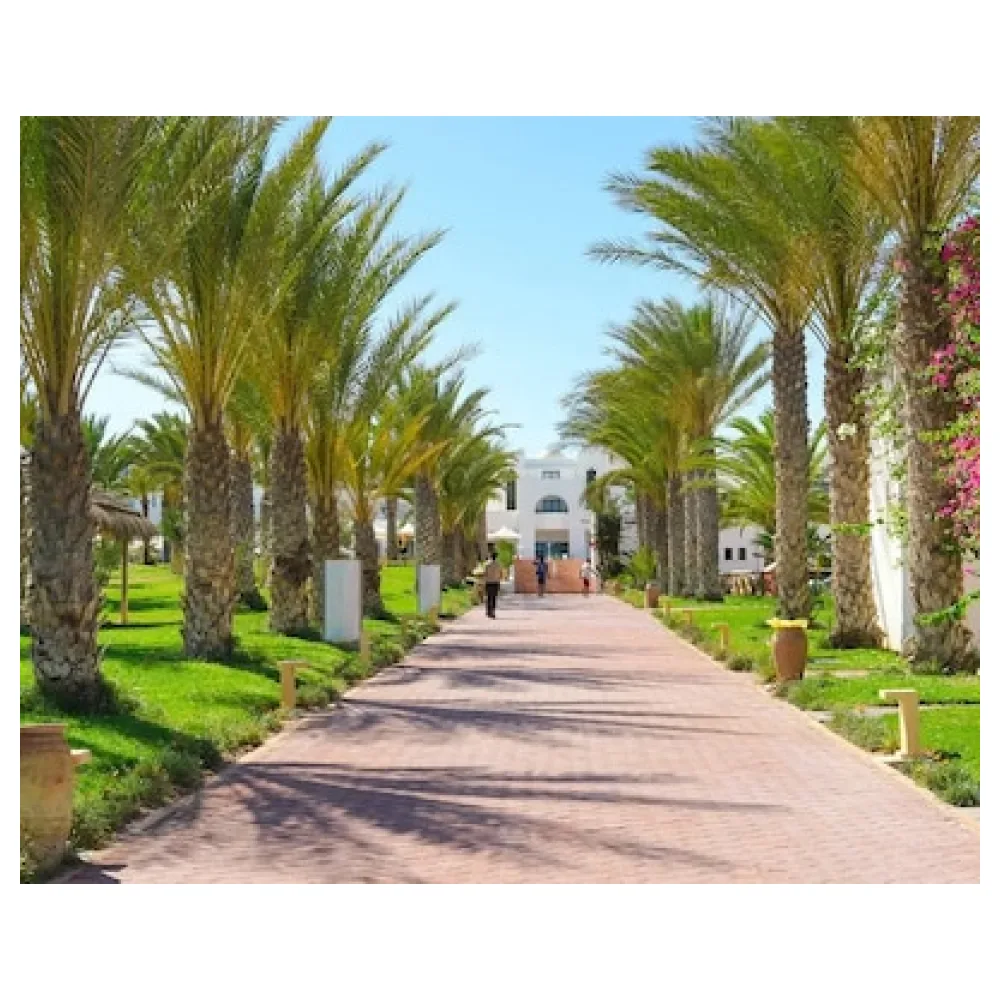 Club Palm Azur Families and Couples