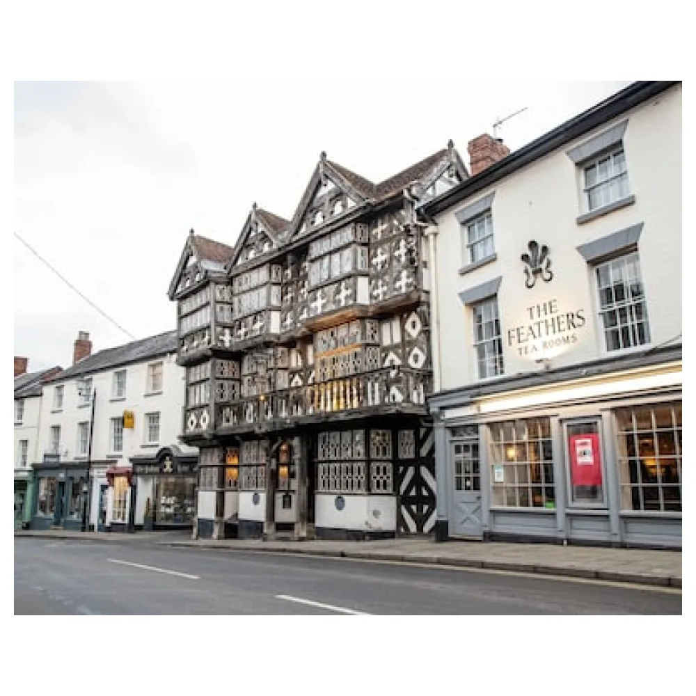 The Feathers Hotel