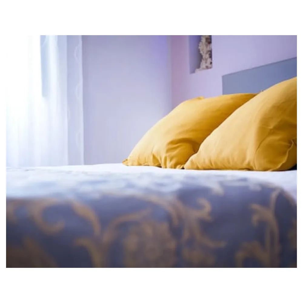 Nerva Accommodation