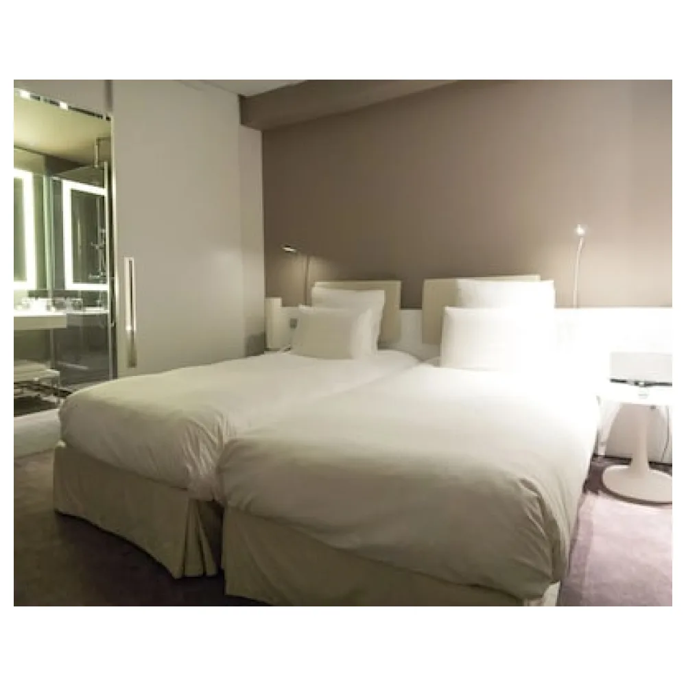 Pullman Brussels Centre Midi