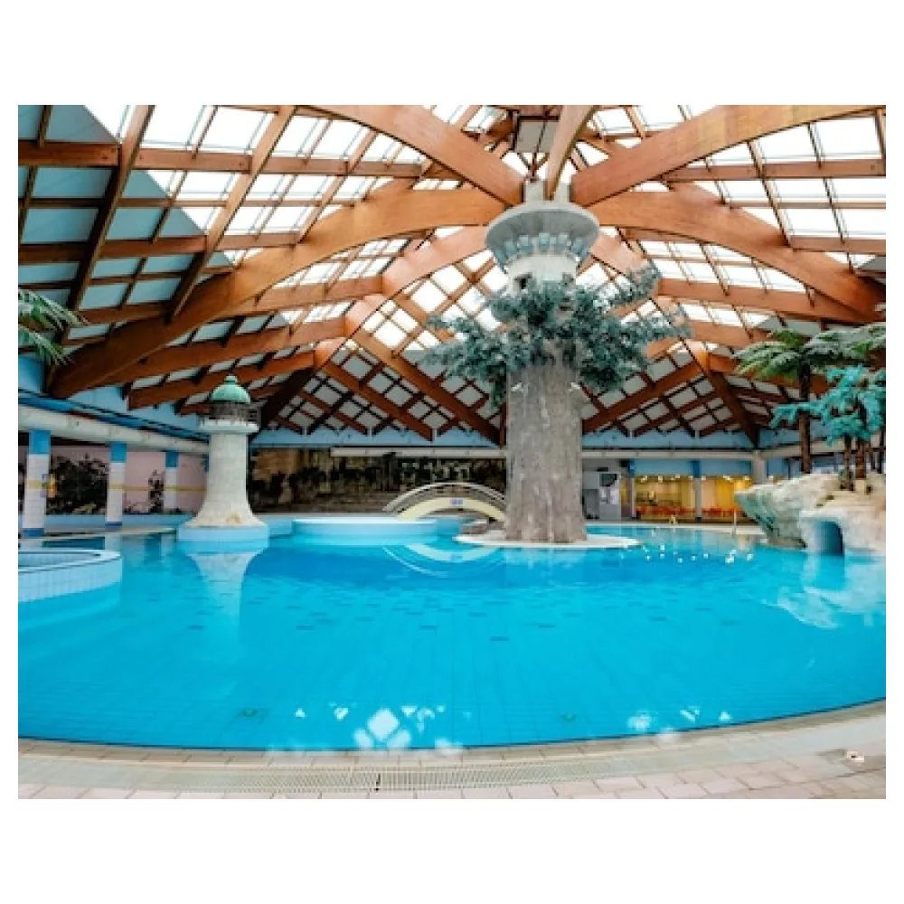 Hotel Hills Sarajevo Congress & Thermal Spa Resort