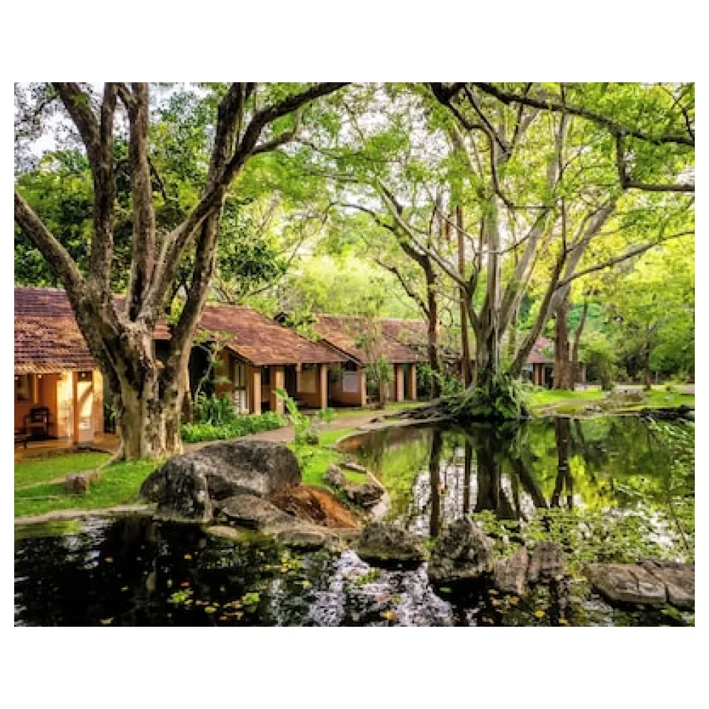 Sigiriya Village
