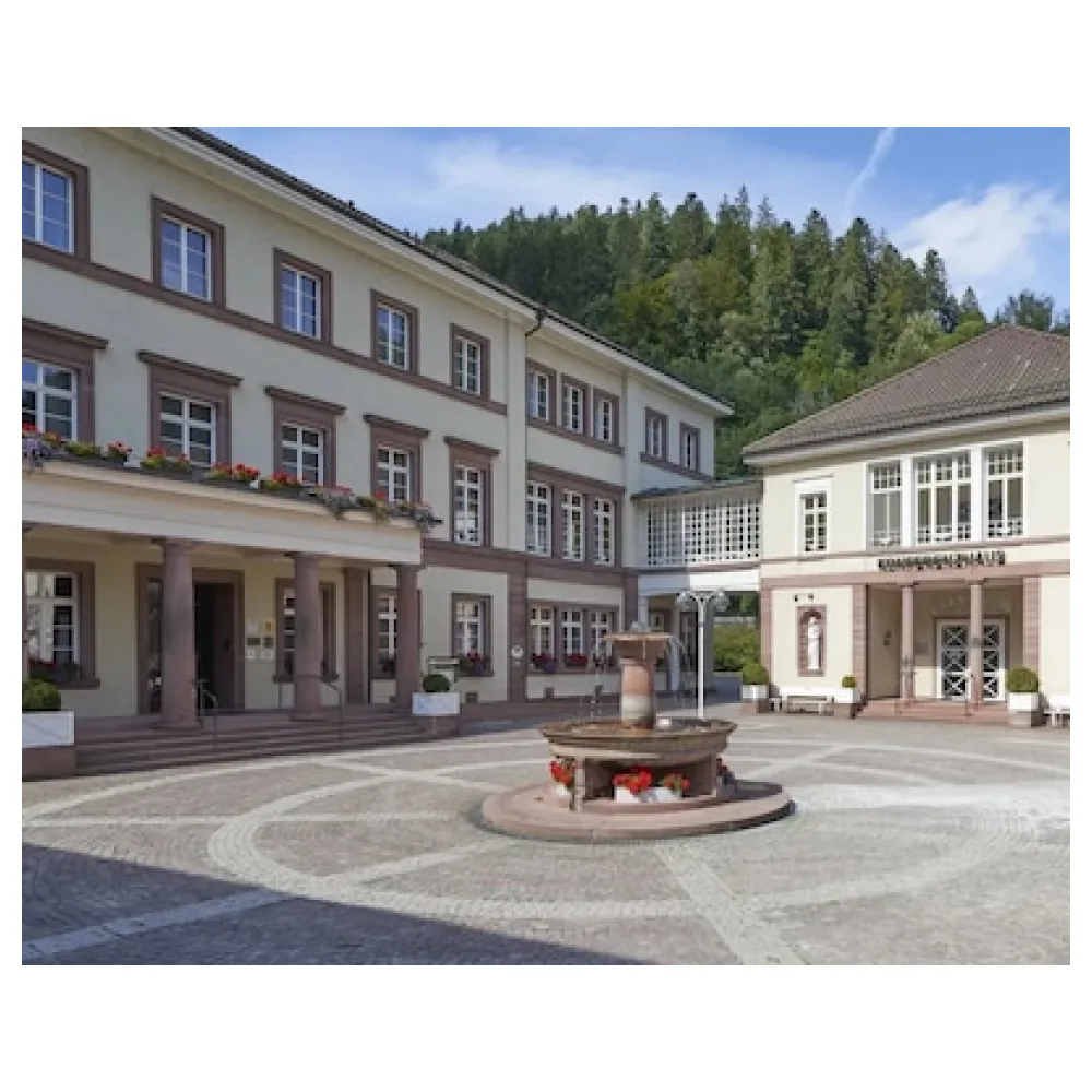 Hotel Therme Bad Teinach