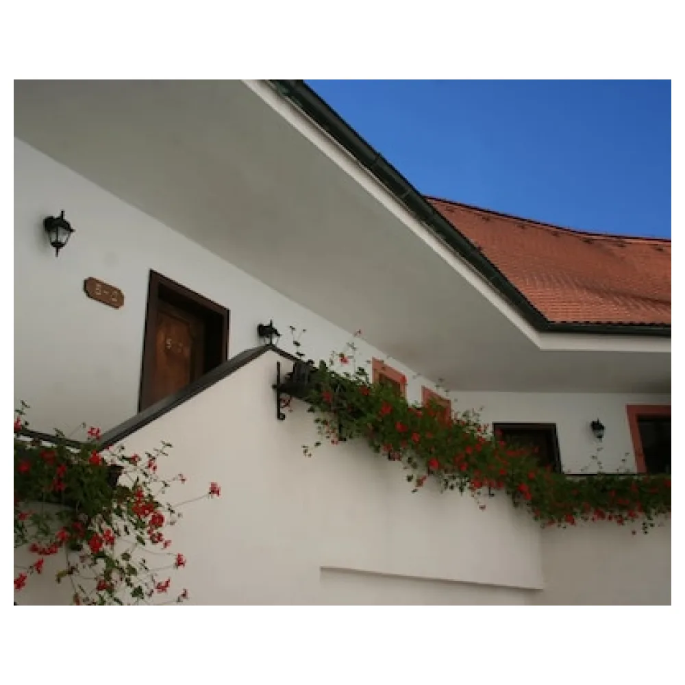 Hotel Zlaty Andel