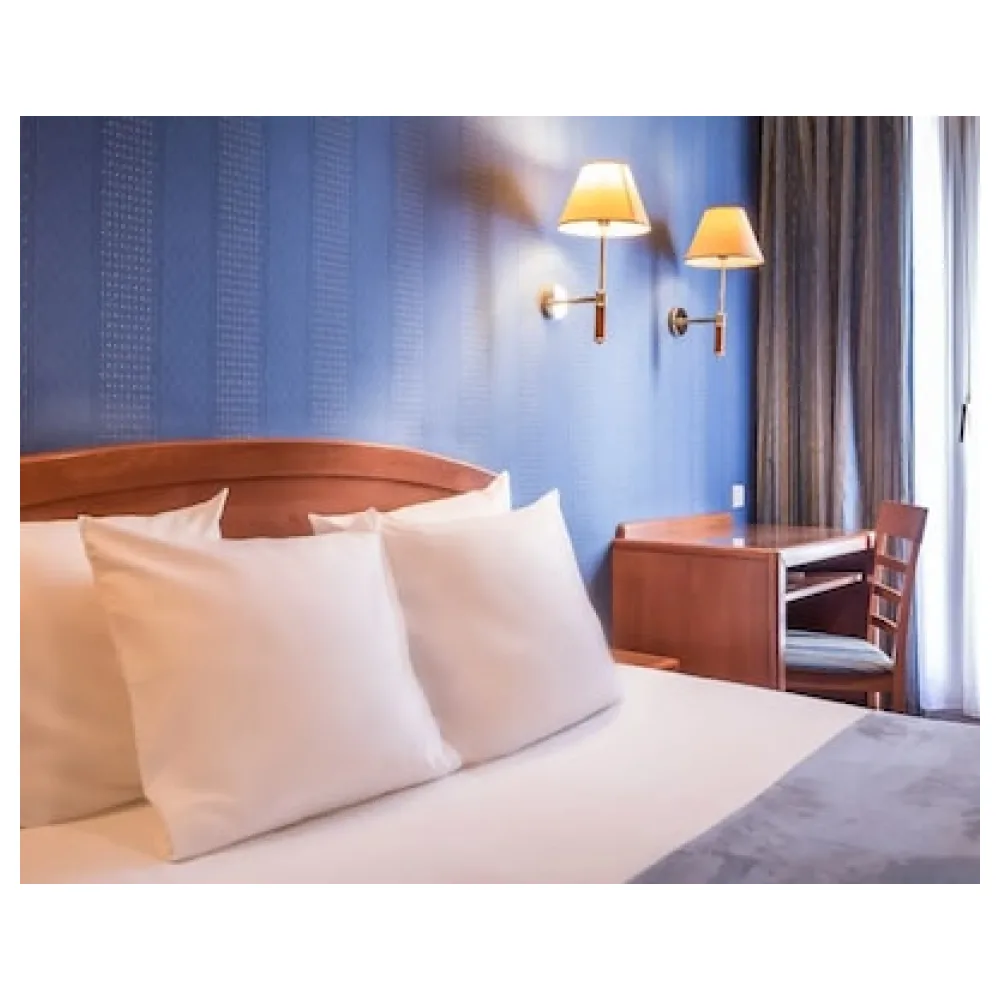 Hotel Charlemagne