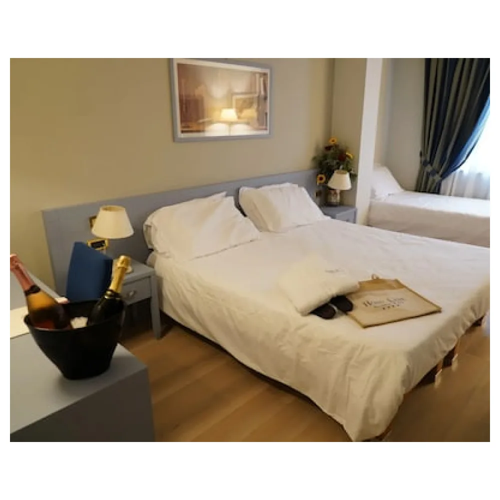 Hotel Lemi