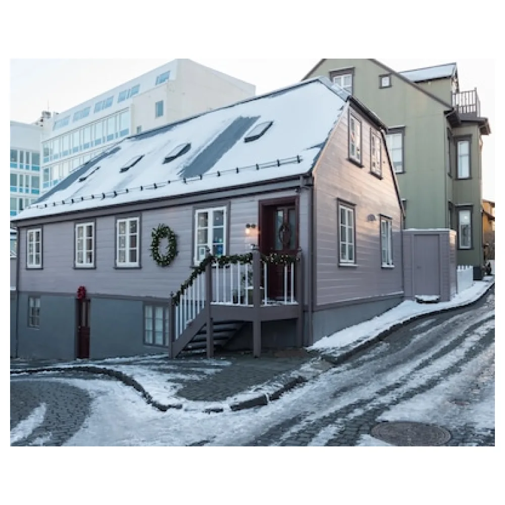 Reykjavík Treasure B&B