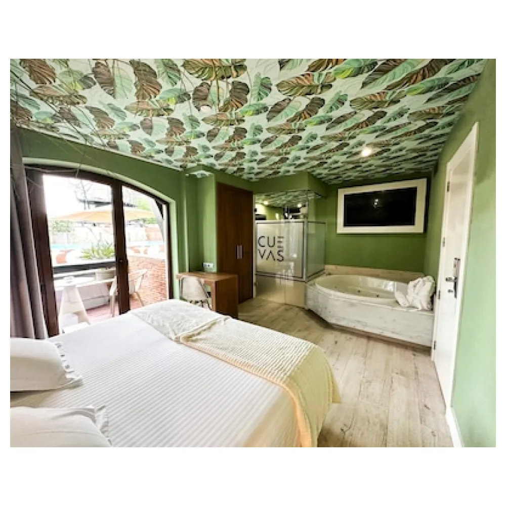 Hotel Cuevas