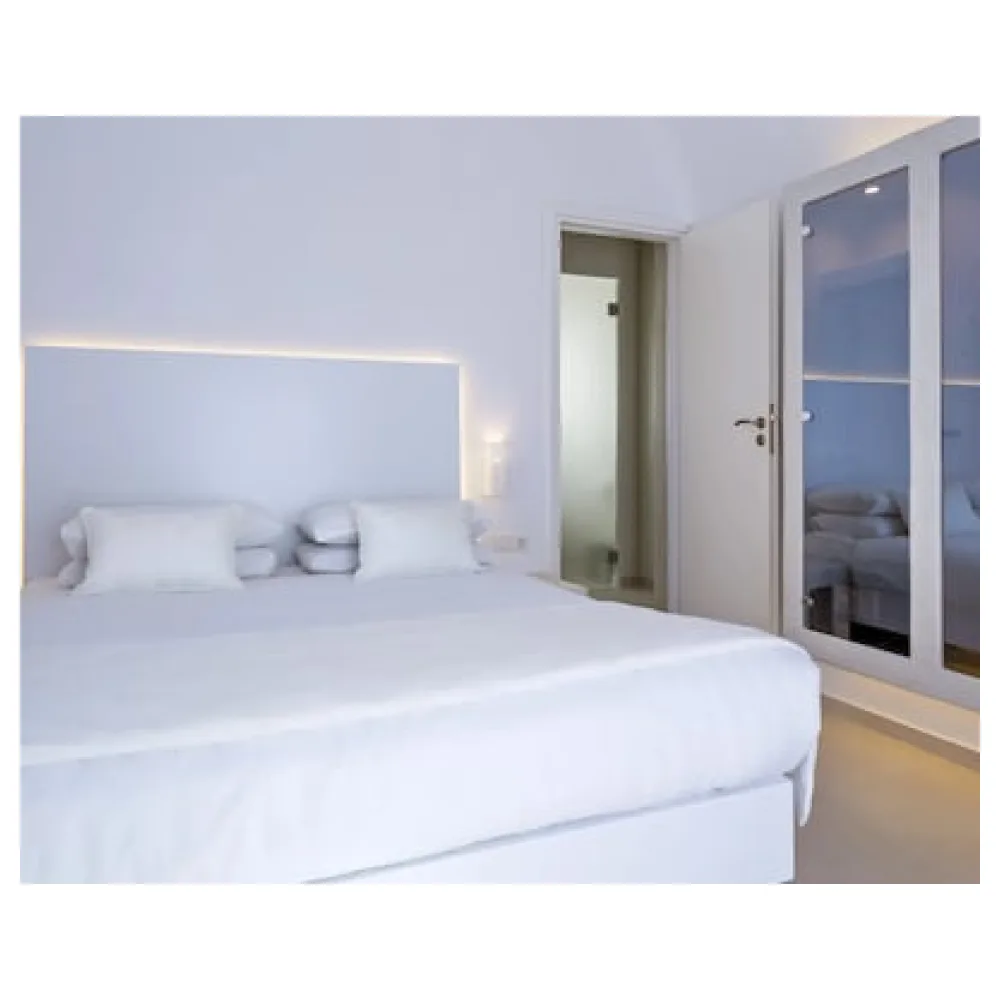Art Hotel Santorini