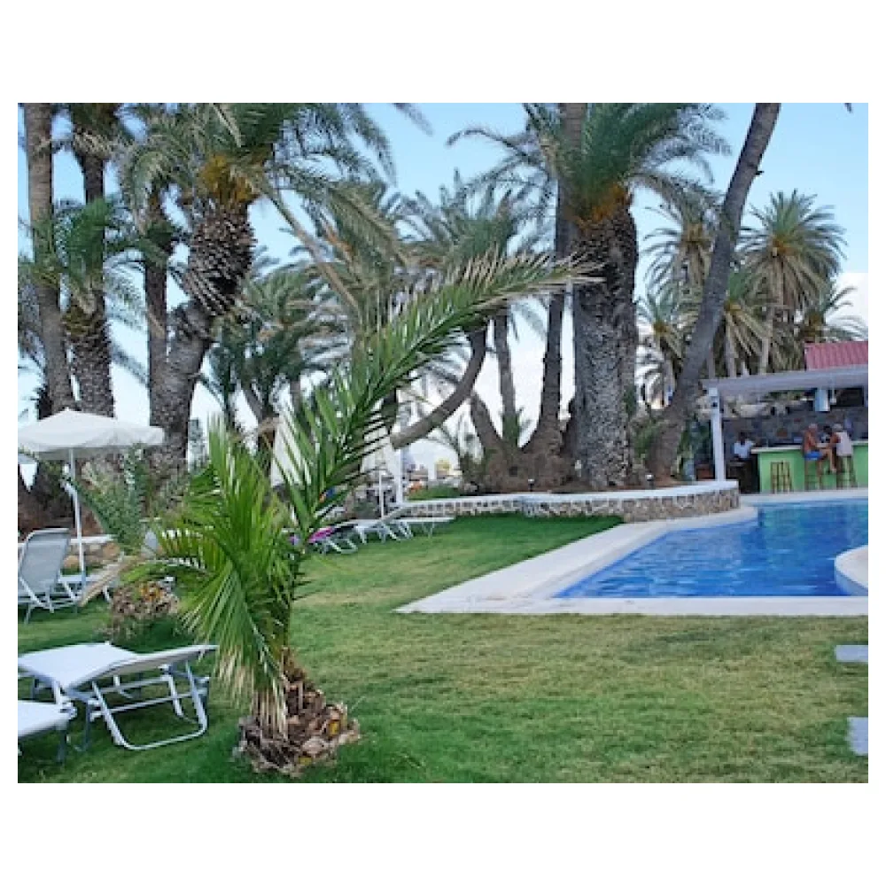 Palm Beach Hotel