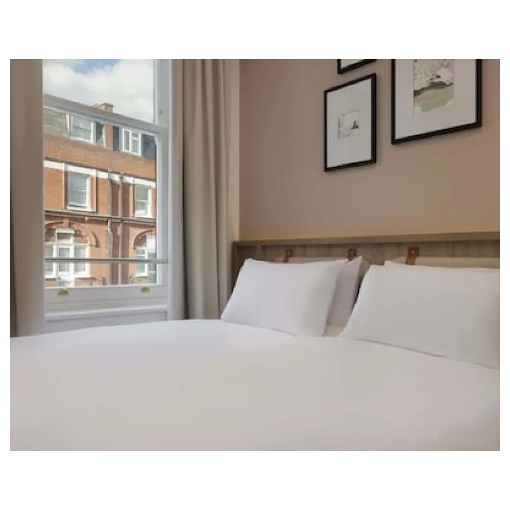 The Drey - Kensington Earl's Court