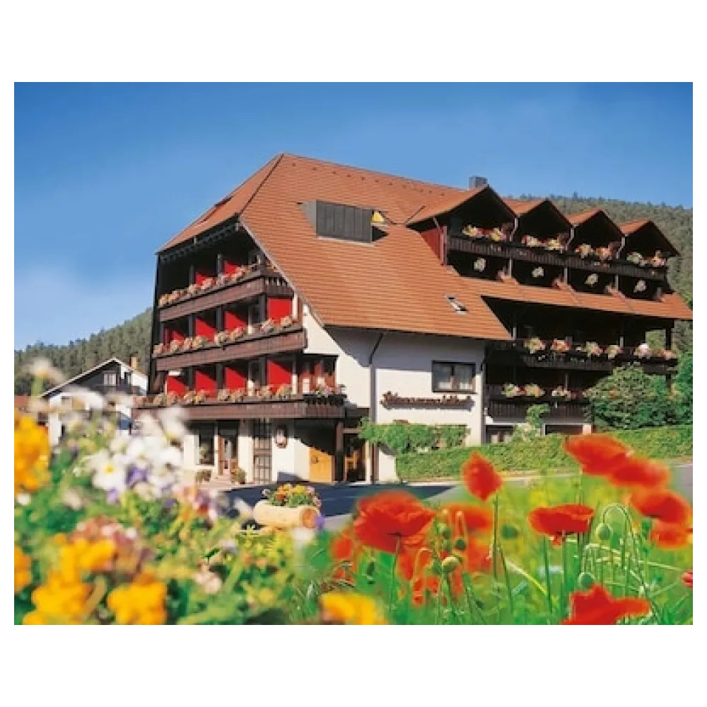 Hotel Schwarzwaldhof