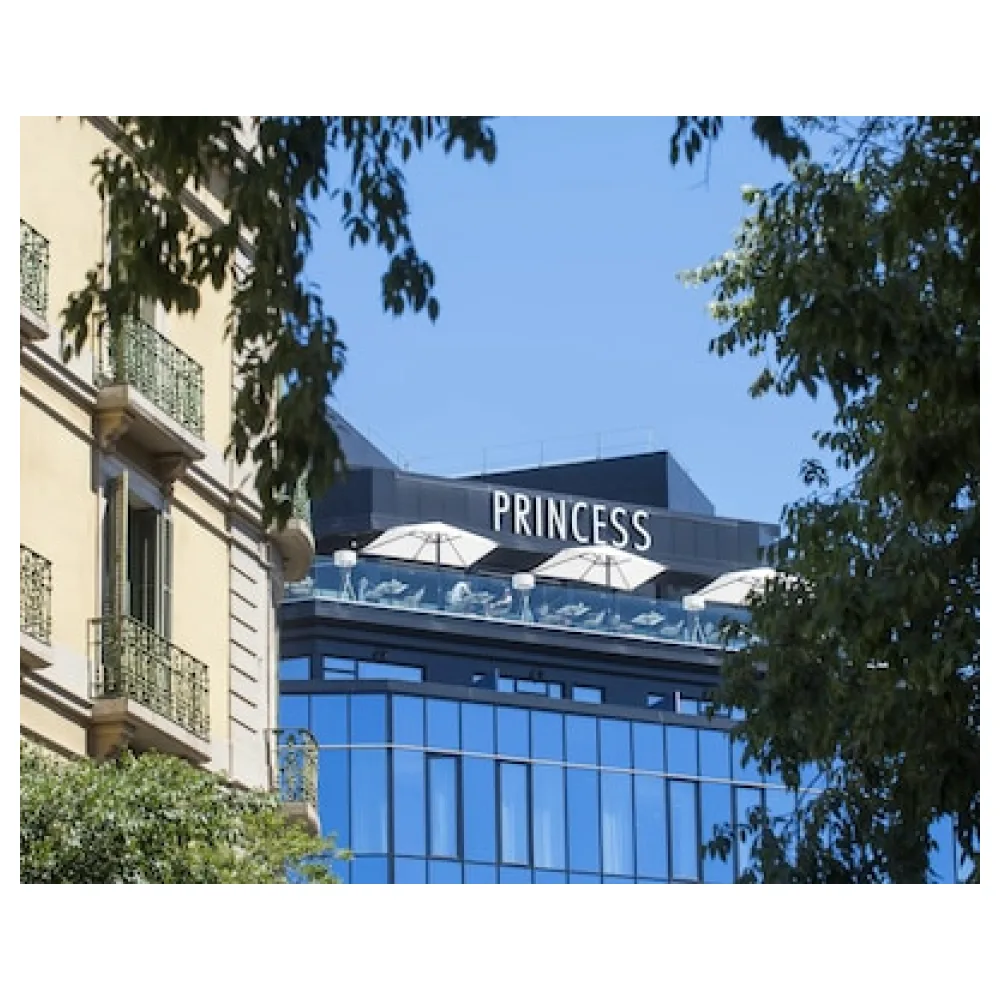 Negresco Princess