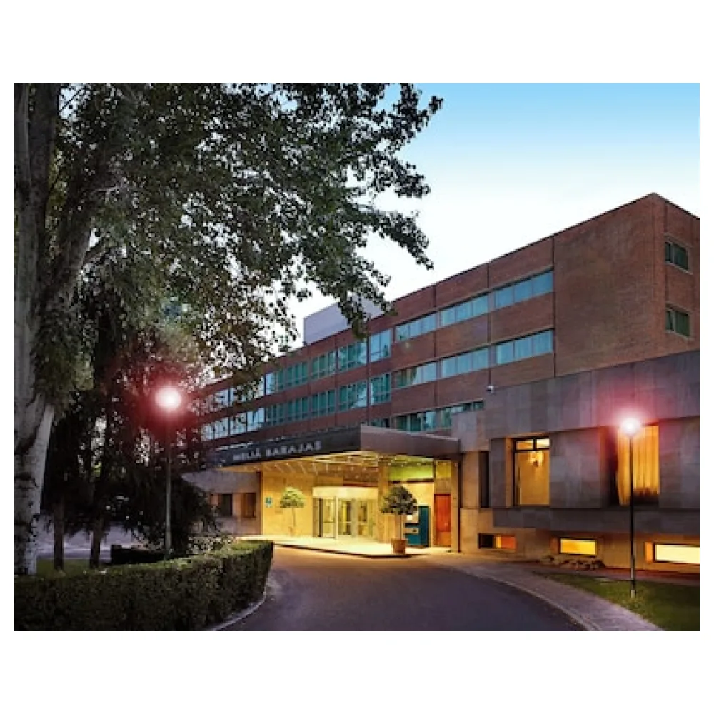Meliá Madrid Barajas