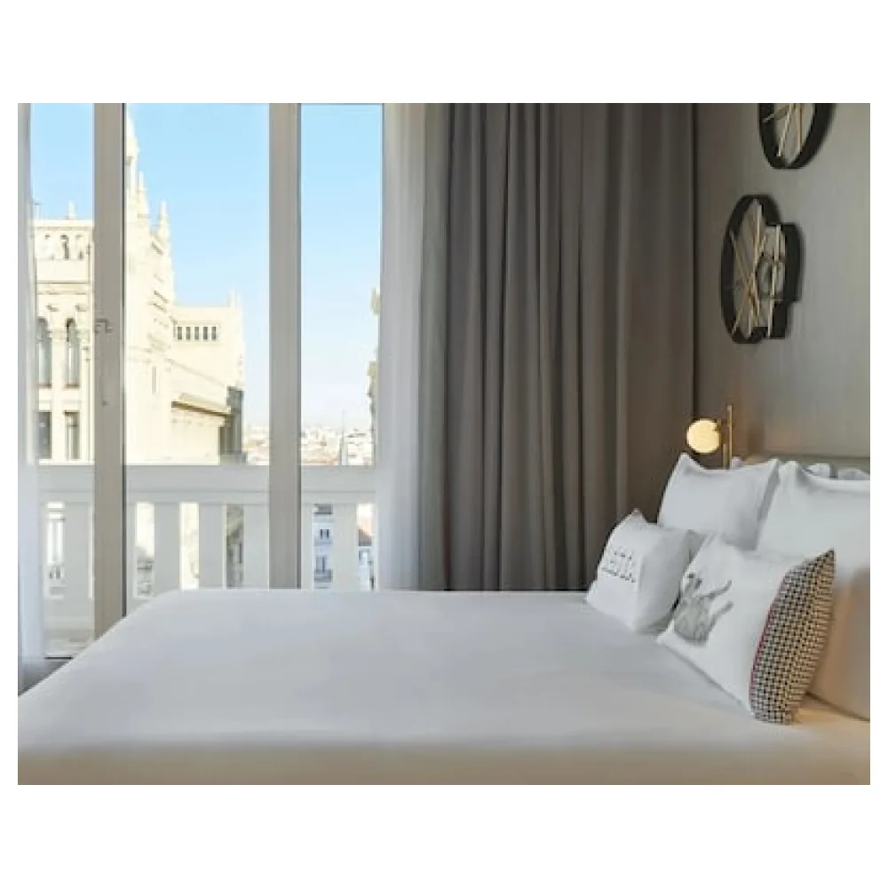 Hyatt Centric Gran Via Madrid