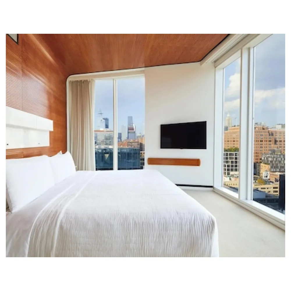 The Standard High Line