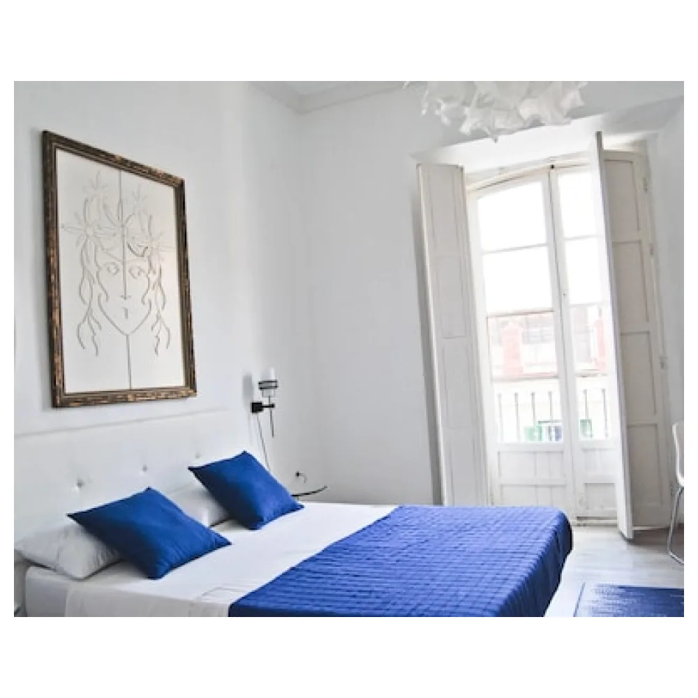 Malaga City Suites