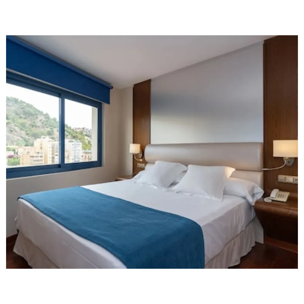 Hotel MS Maestranza Málaga Centro