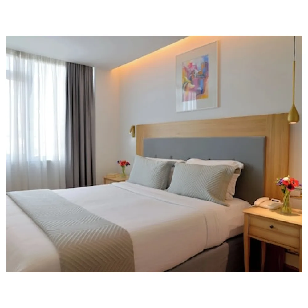 Acropolian Spirit Boutique Hotel