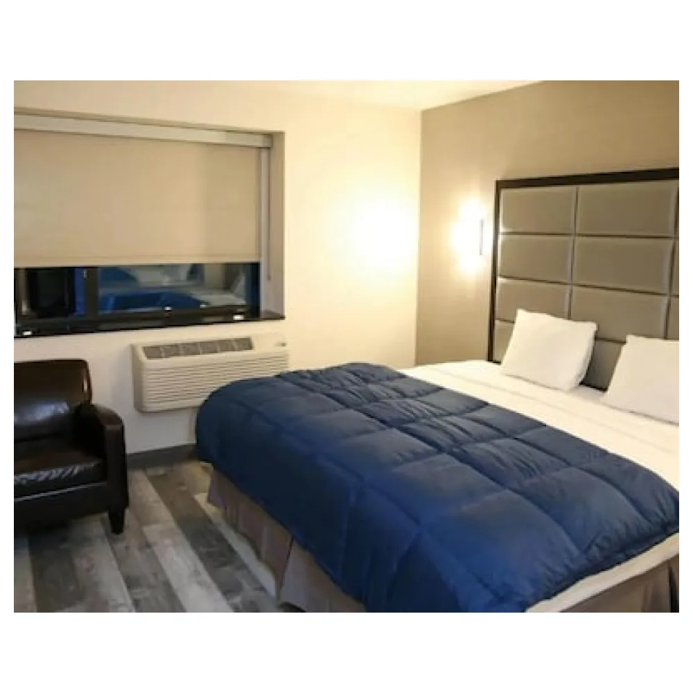 Umbrella Hotel Brooklyn