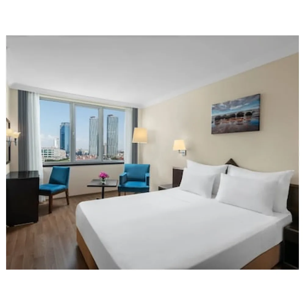 Dedeman Istanbul
