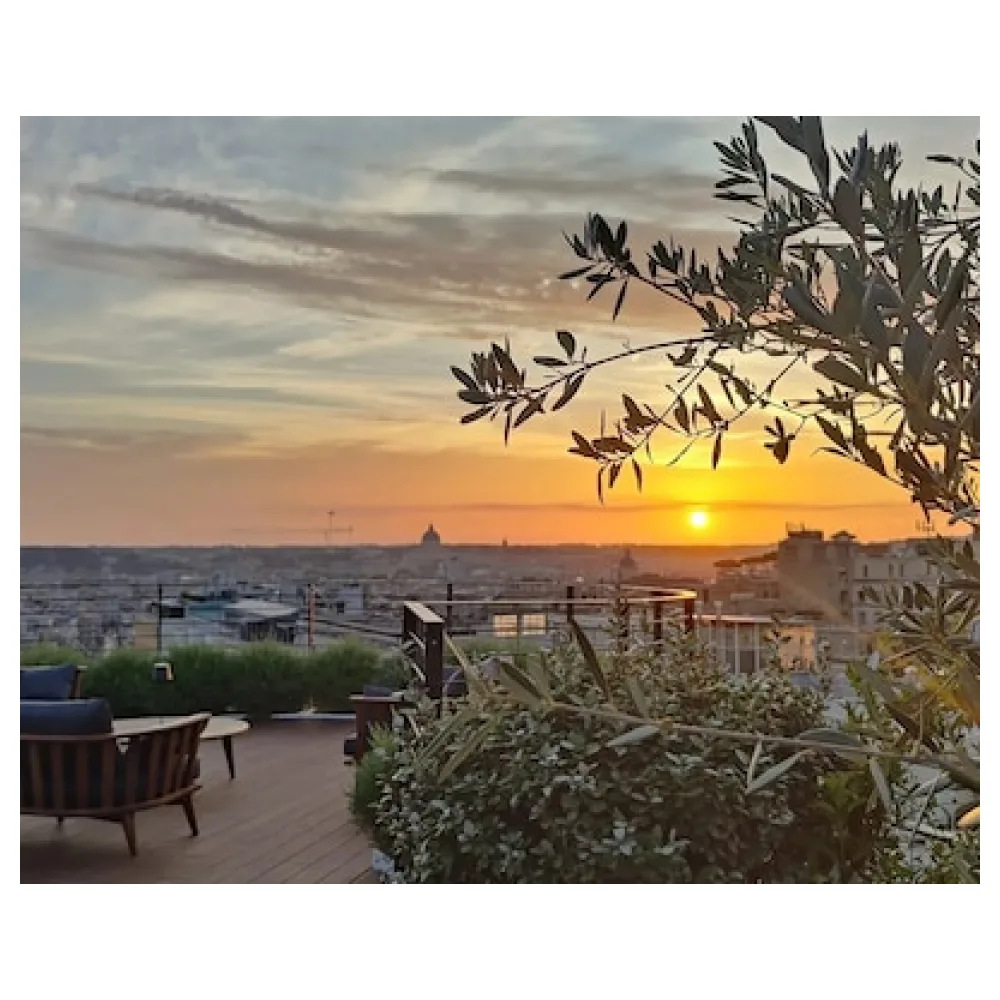 Triviho Hotel