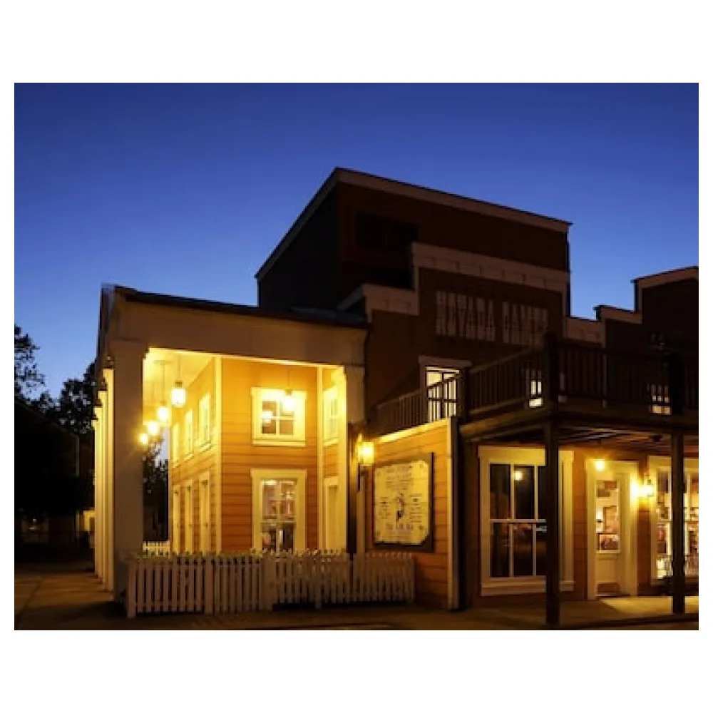 Disney Hotel Cheyenne