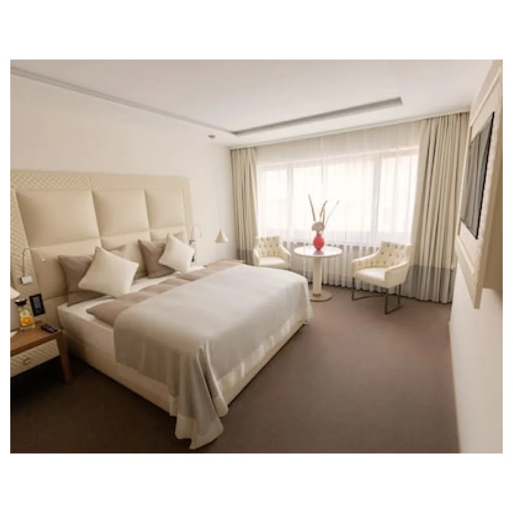 Hotel Arte