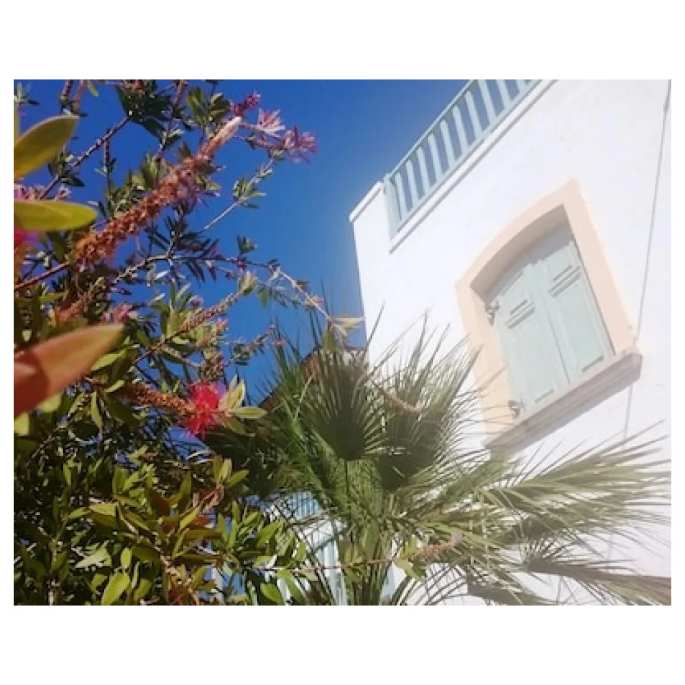Amazones Village Suites