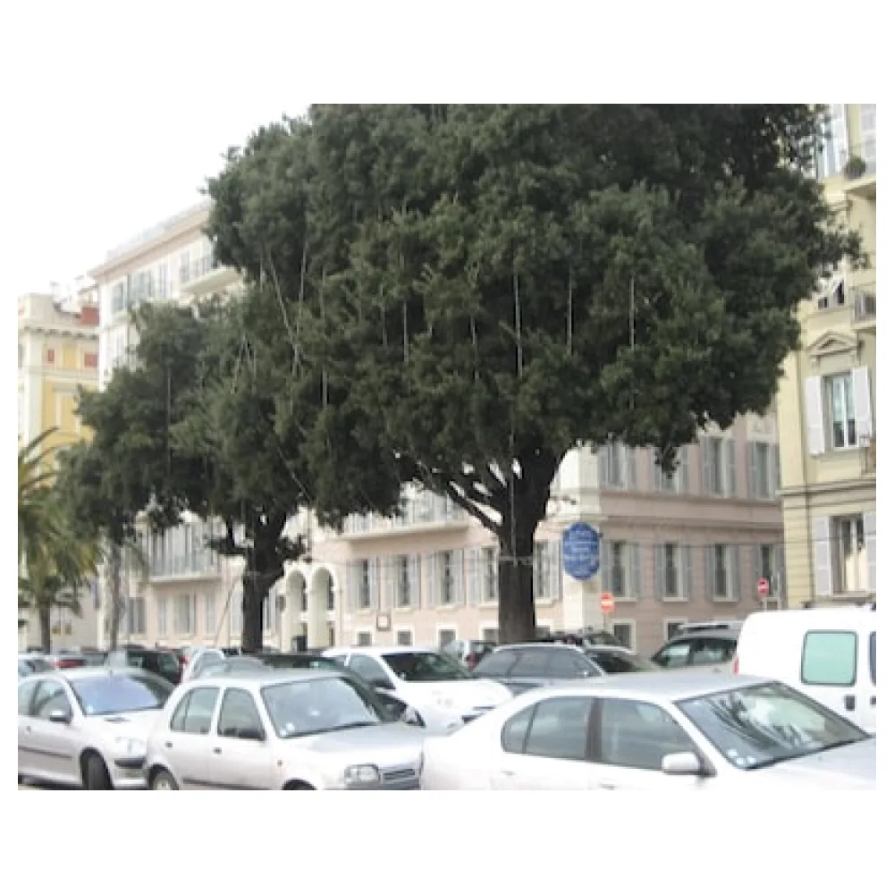 Hotel Beau Rivage