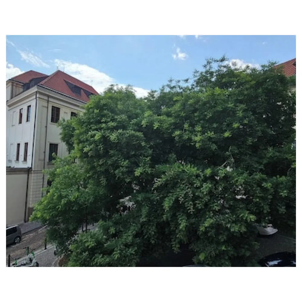 Alchymist Prague Castle Suites Hotel