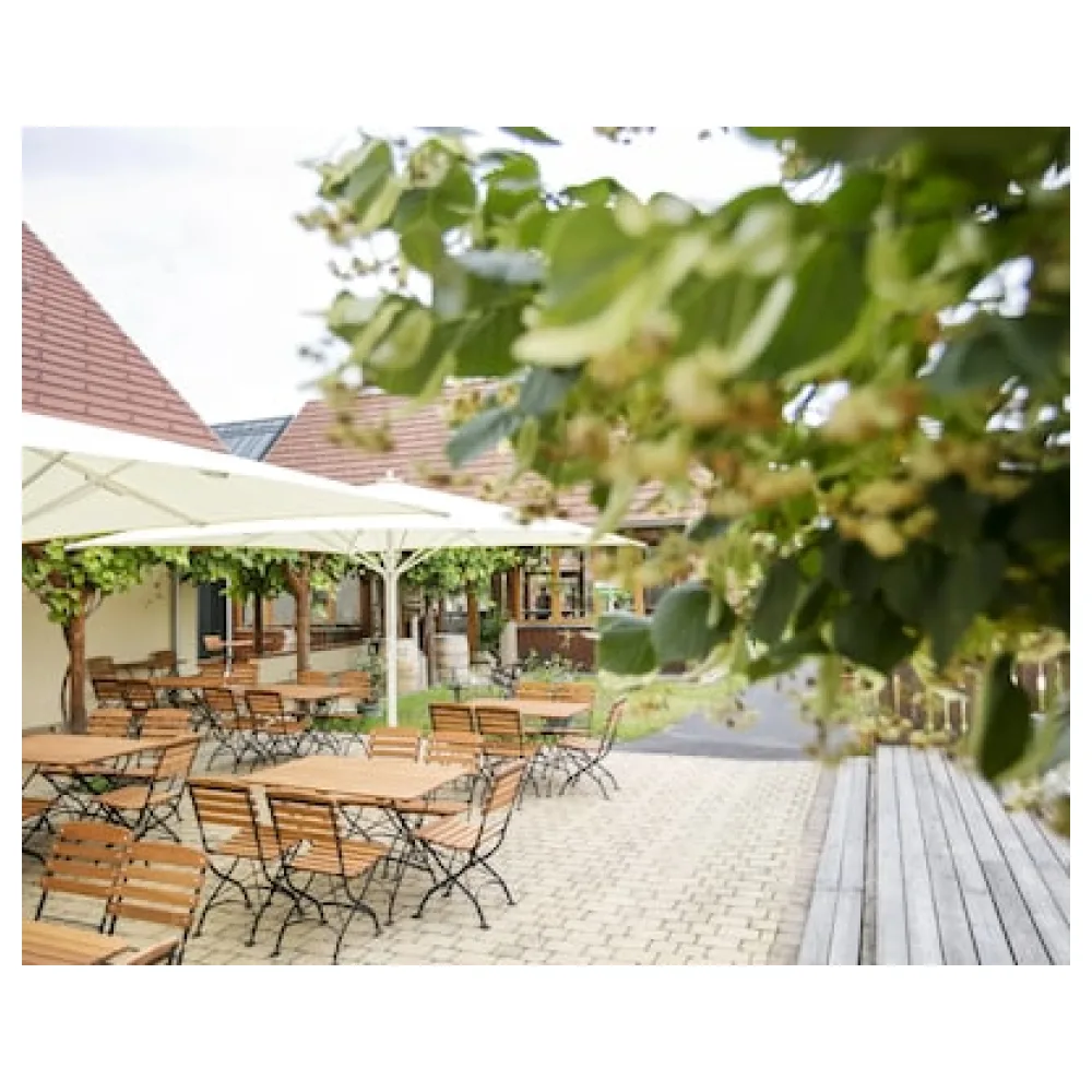 JUFA Hotel Tieschen