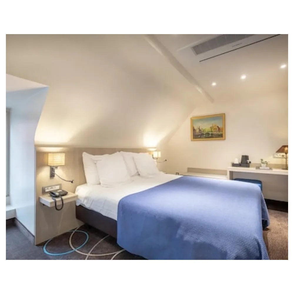 Hotel Albert I