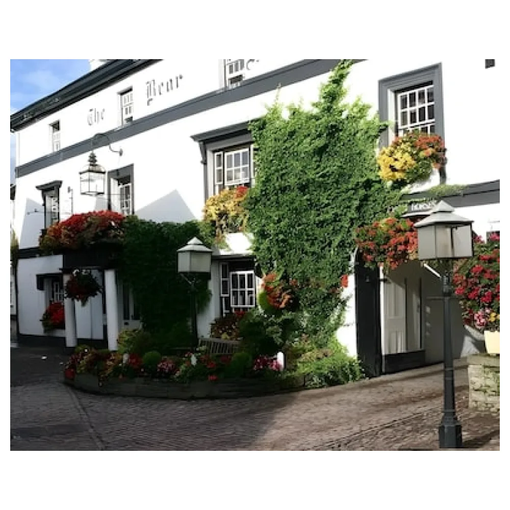 Bear Crickhowell