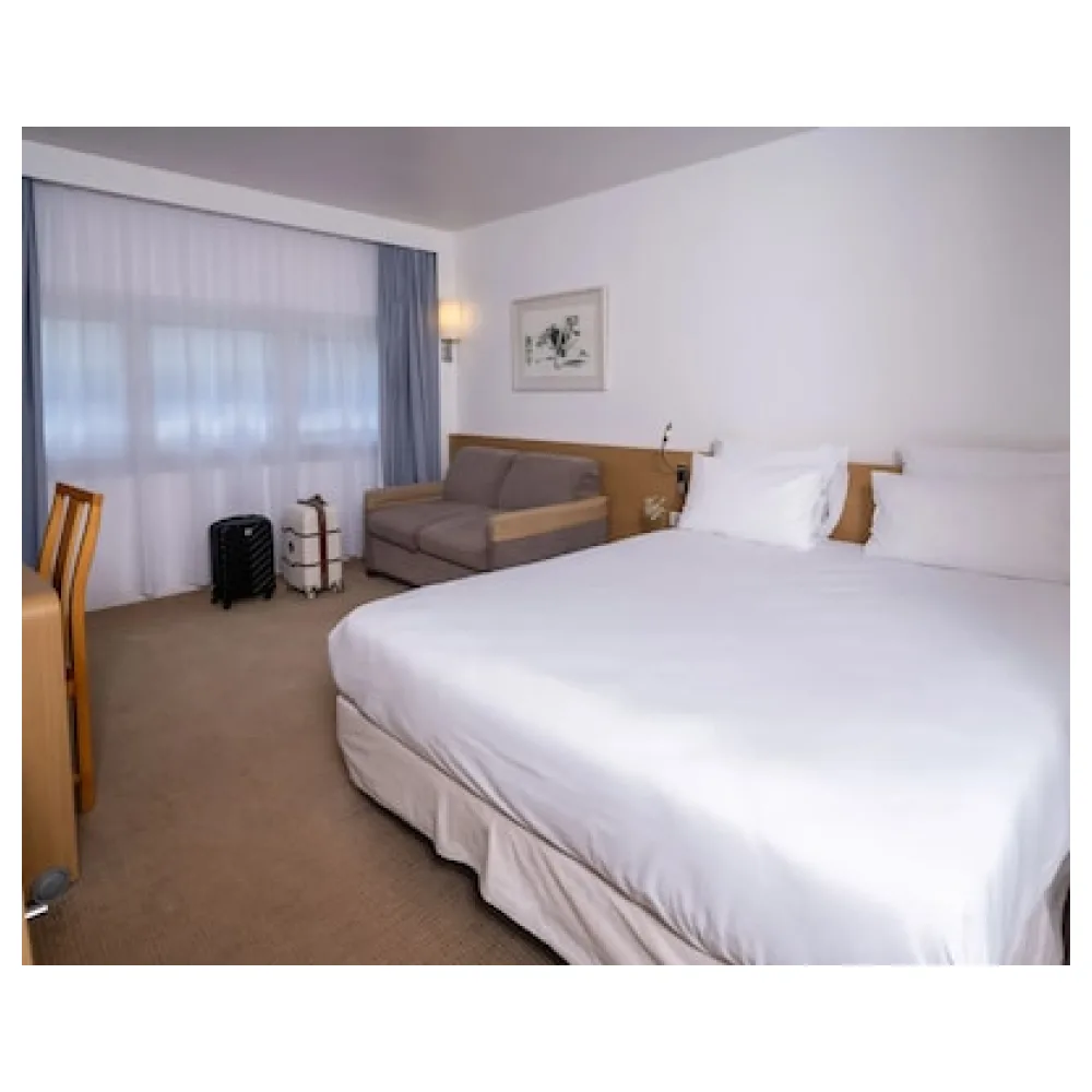 Novotel Nantes Centre Gare