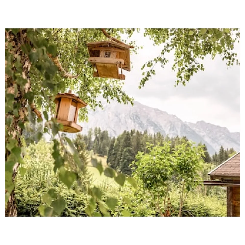Der Seebacherhof