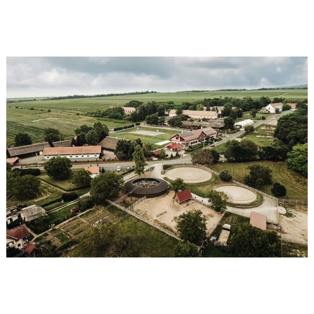 Élményteli pihenés a Balatonnál!