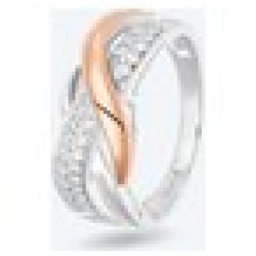 amor Ring 925 Silber bicolor Zirkonia – Bild 4