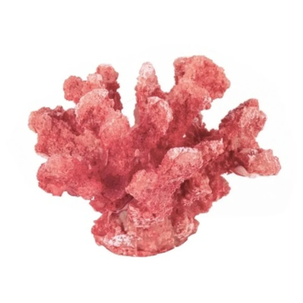 Műnövények Signes Grimalt Ornament Coral Mar.