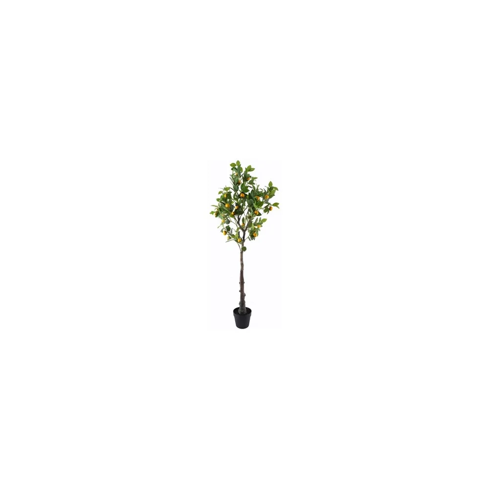 Műnövények Signes Grimalt Lemon Tree Xgra.